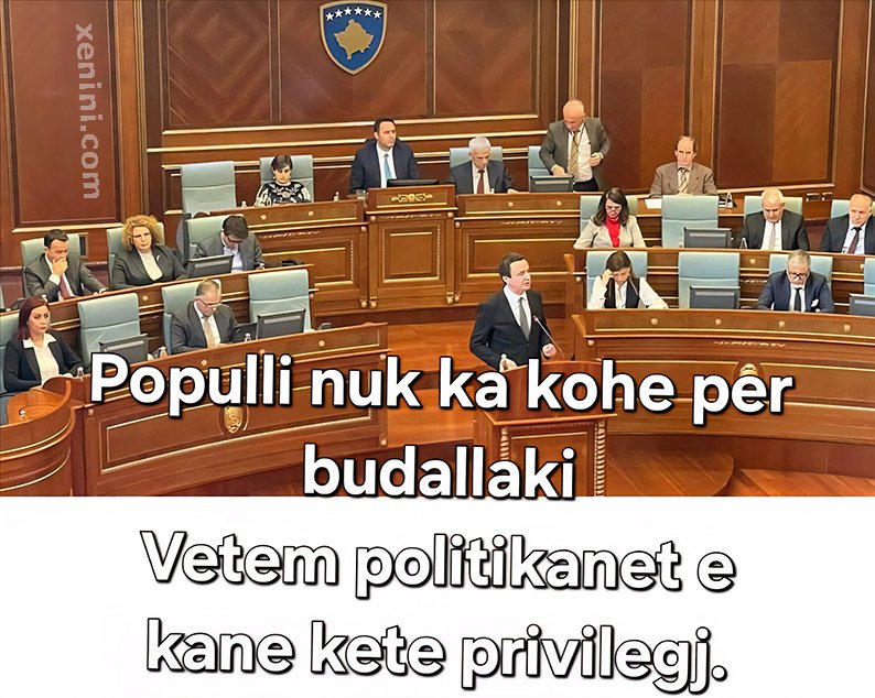 Dihet kush e ka perfaqesine dhe drejten ekskluzive per budallaki